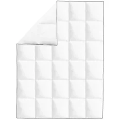 Couette En Duvet D'hiver 2 Pcs 135 X 200 Cm -TODAY || DODO || Vision Soldes Boutique couette en duvet d hiver 2 pcs 135 x 200 cm 3666722520324 586556