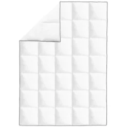 Couette En Duvet D'hiver 2 Pcs 155 X 220 Cm -TODAY || DODO || Vision Soldes Boutique couette en duvet d hiver 2 pcs 155 x 220 cm 3666722520300 586564