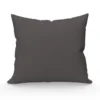 SOLEIL D'OCRE Lot De 2 Taies D'oreiller 65x65 Cm En Coton Uni 57 Fils - Anthracite
