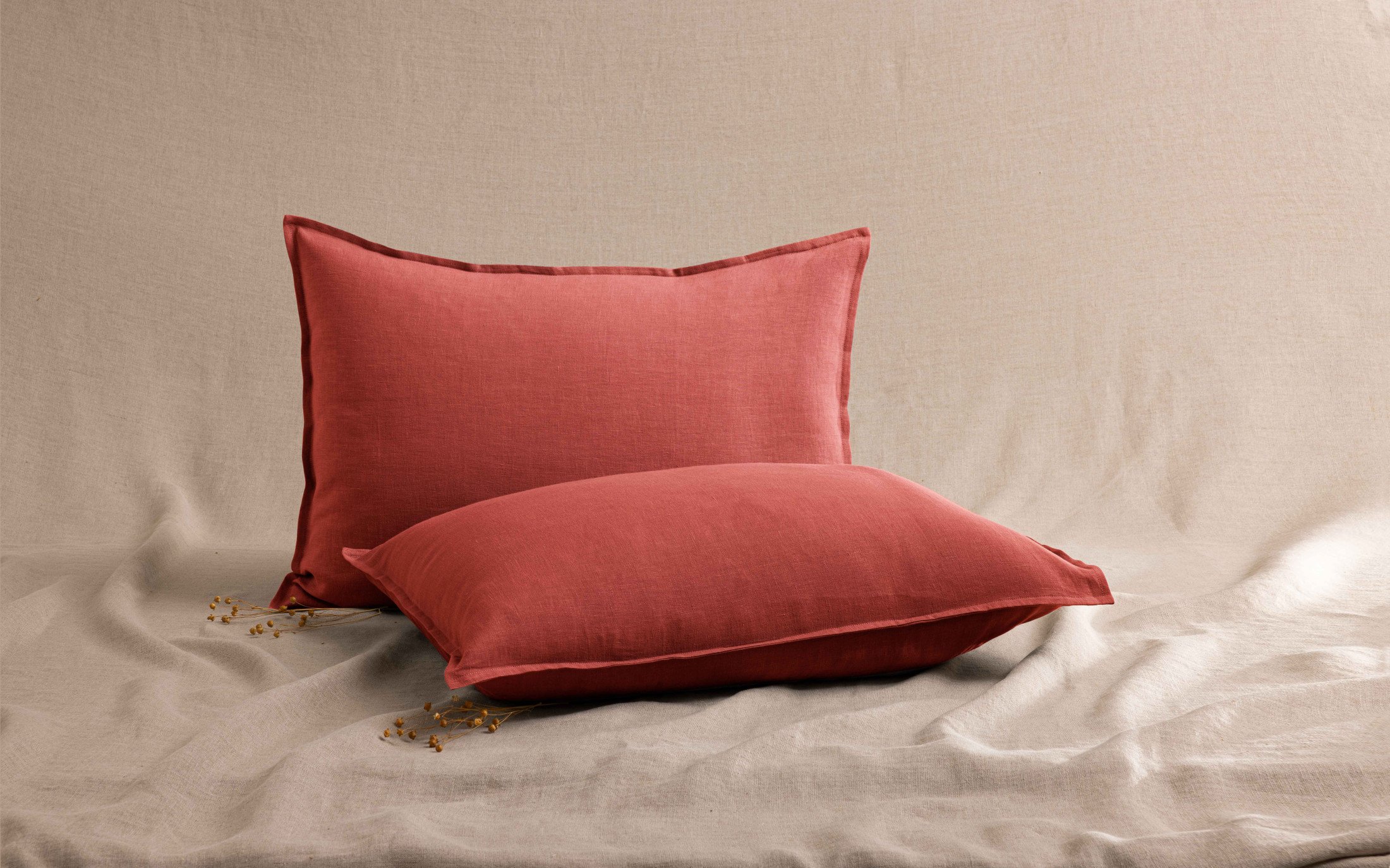 TODAY || DODO || Vision Soldes Boutique 42 TODAY || DODO || Vision Soldes Boutique -TODAY || DODO || Vision Soldes Boutique fit